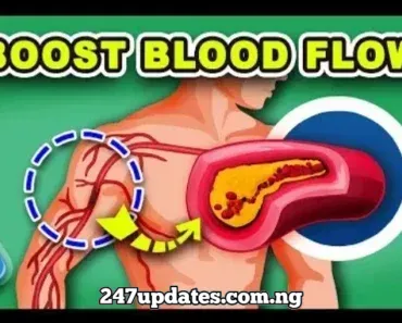 Top 7 Vitamins to Increase Blood Flow and Circulation