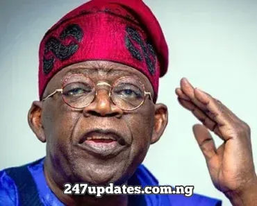 Northern group demands immediate action over sponsored protests targeting Tinubu’s loyalists