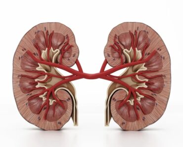 These 8 Signs Your Body Will Give You If Your Kidneys Are At Risk
