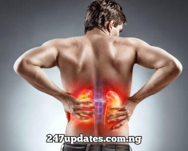 Parts Of The Body You Will Notice Pain When The Kidney Is Having Issues And What To Do About It